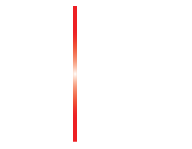 EC-Council Certified Ethical Hacker v11 (CEH)