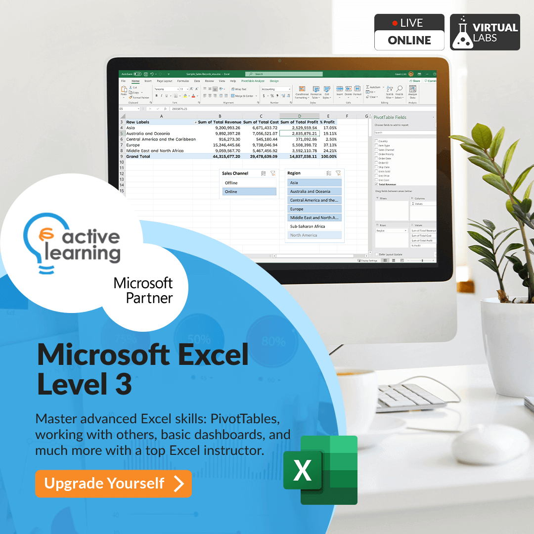 Microsoft Excel Level 3